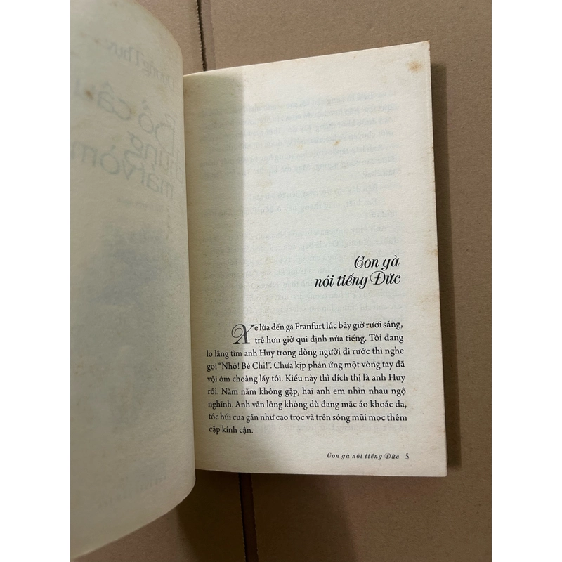 Bồ câu chung mái vòm 518727