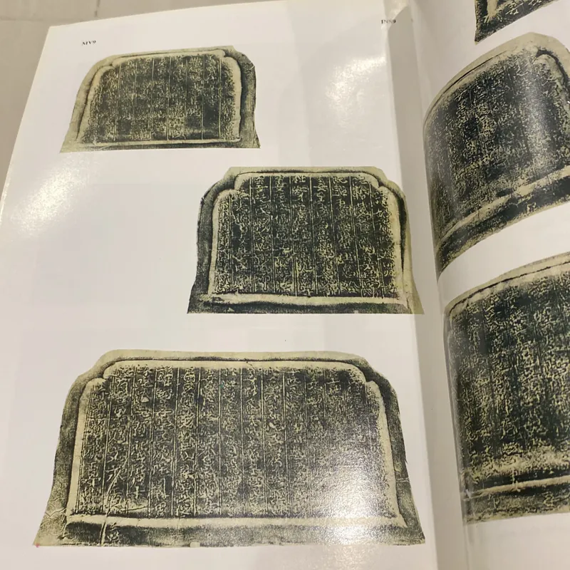 CẨM NANG ĐỒ GỐM VIỆT NAM CÓ MINH VĂN THẾ KỶ XV-XIX (XB 1999) 701867