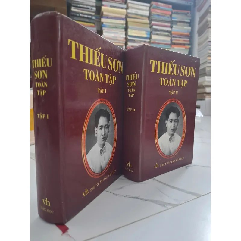 Thiếu Sơn Toàn Tập (Trọn bộ 2 tập) - Thiếu Sơn - Văn học/Phê bình 701329