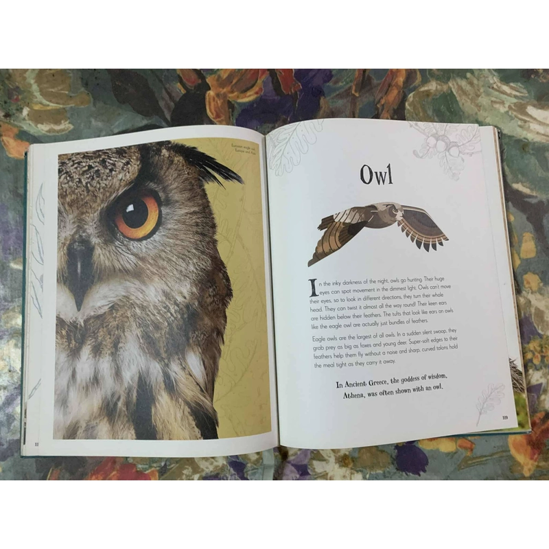An Anthology of Intriguing Animals 538463