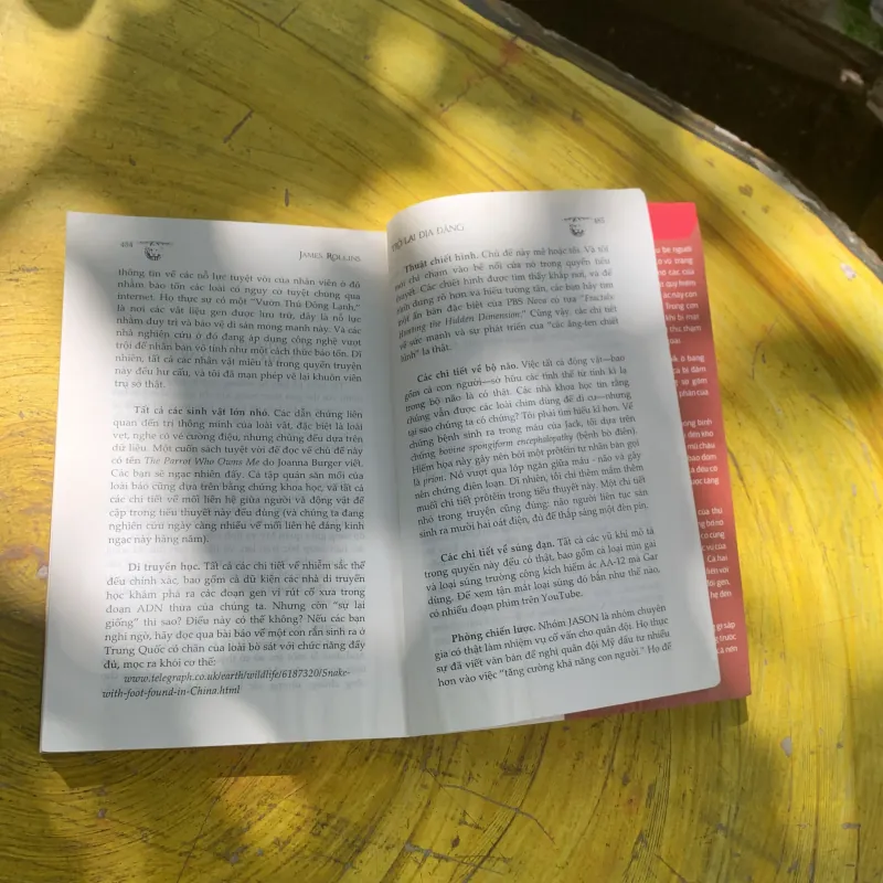 TRỞ LẠI ĐỊA ĐÀNG- JAMES ROLLINS 782695