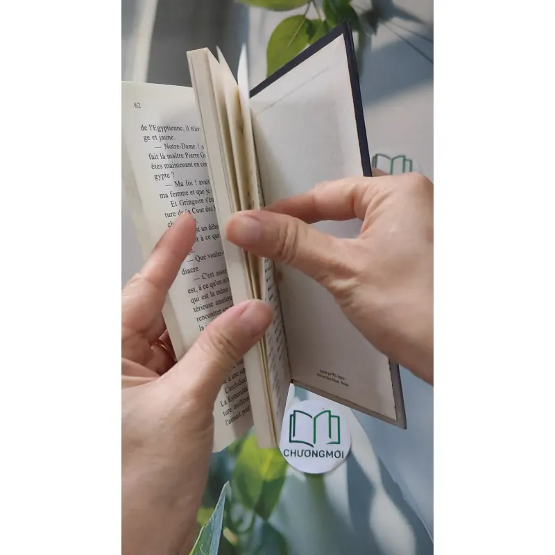 [MIỄN PHÍ BỌC SÁCH] [XƯA] Notre-Dame de Paris (1996) - Victor Hugo 990056