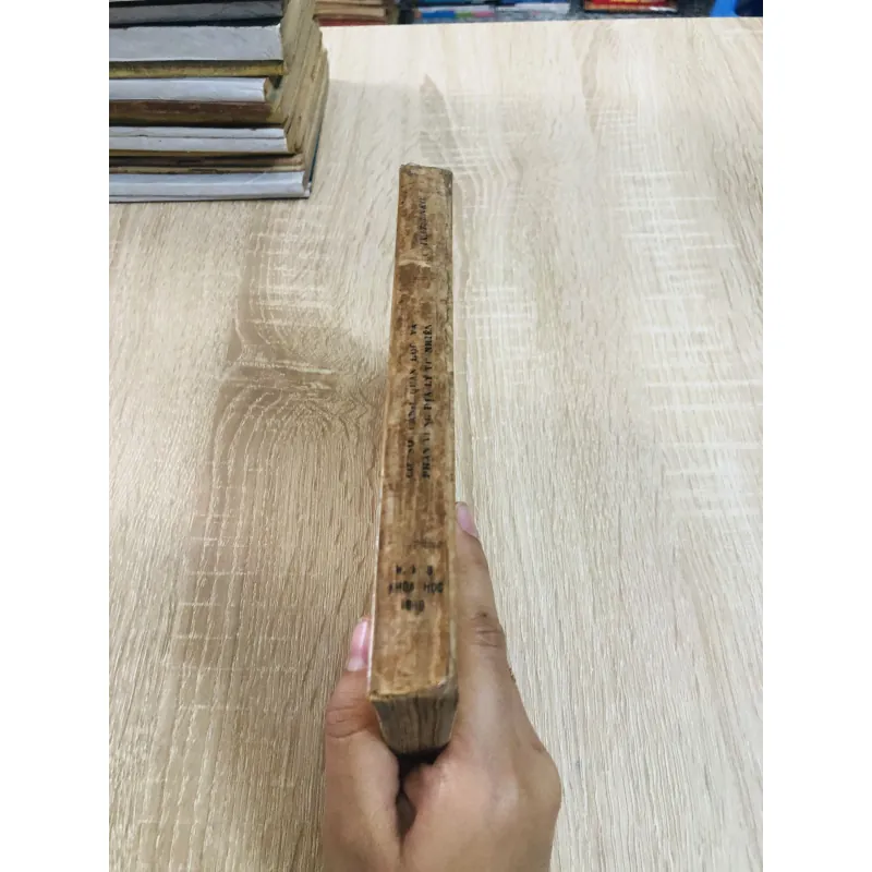 CƠ SỞ CẢNH QUAN HỌC VÀ PHÂN VÙNG ĐỊA LÝ TỰ NHIÊN  960249