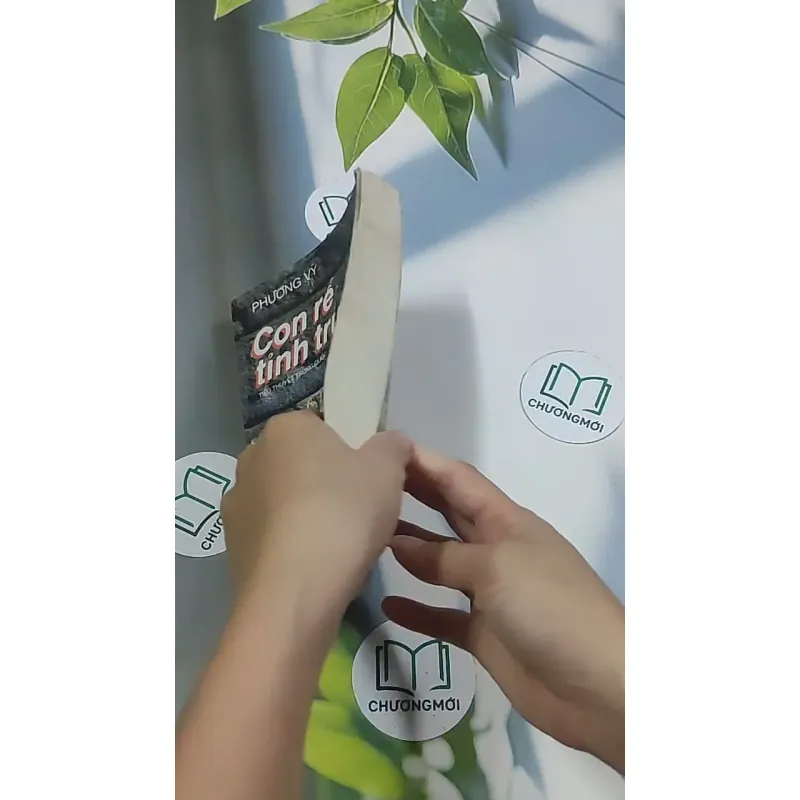 Con rể tỉnh trưởng - Phương Vỹ 695009