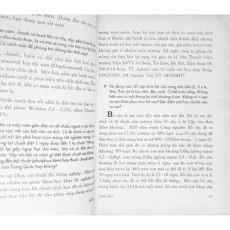 Hỏi gì đáp nấy (Tập 2) 688182