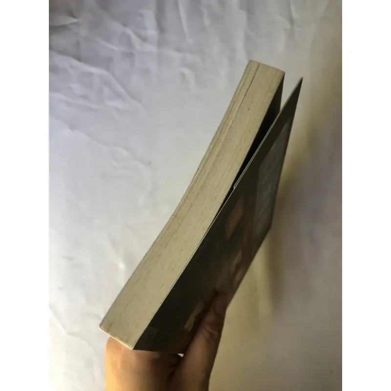 Khách Sạn Ba Đoá Hồng - Augusto De Angelis 1002715