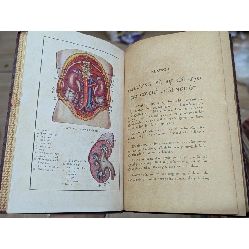 Sức khoẻ chỉ nam - một nhóm biên soạn ( bìa cứng ) 128699