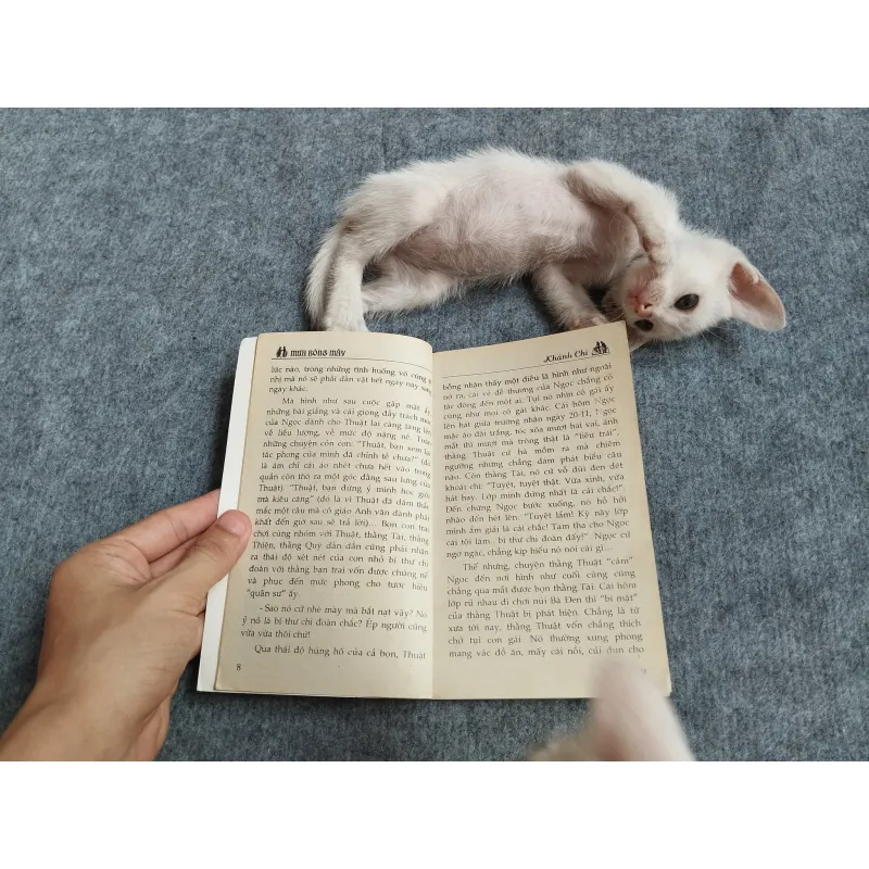 MƯA BÓNG MÂY - KHÁNH CHI 567812