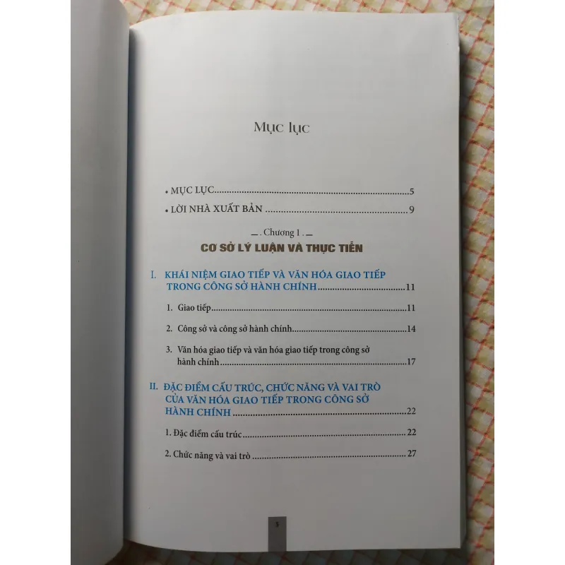VĂN HÓA GIAO TIẾP TRONG CÔNG SỞ HÀNH CHÍNH TRƯỜNG HỢP THÀNH PHỐ HỒ CHÍ MINH - ĐỘ MỚI CAO 732274