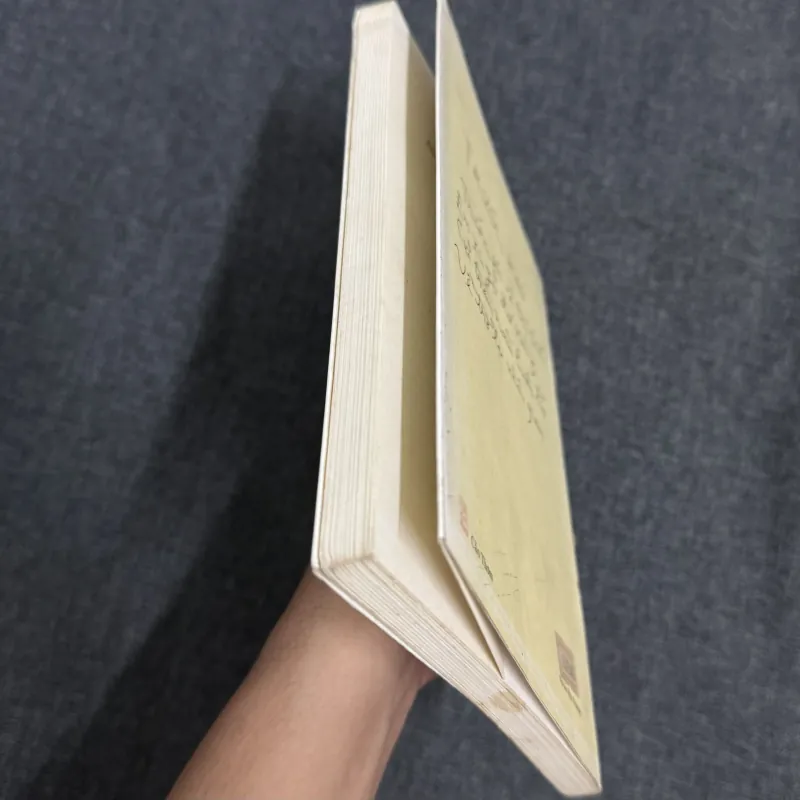 Tuyết băng vô tận xứ (Di cảo thơ III) - Bùi Giáng 786361