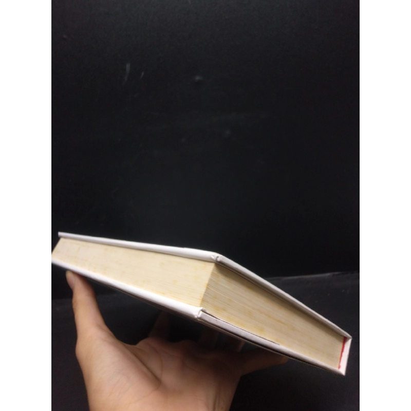 Tương lai Trung Quốc (bìa cứng) năm 2017 mới 80% ố vàng có mộc đỏ đầu sách HCM2902 Trung Quốc 913418