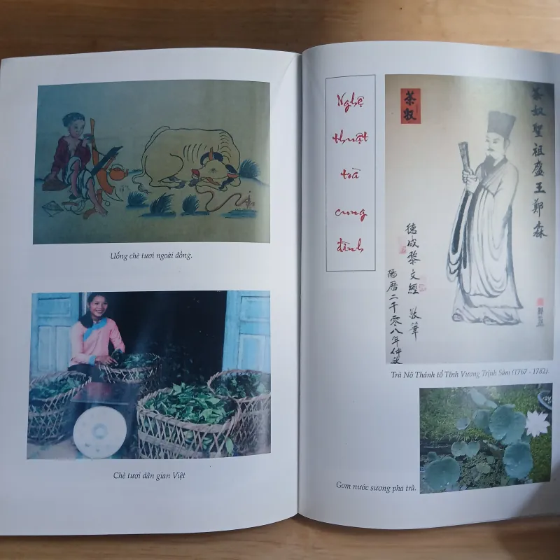 Văn Minh Trà Việt - Trịnh Quang Dũng 565239