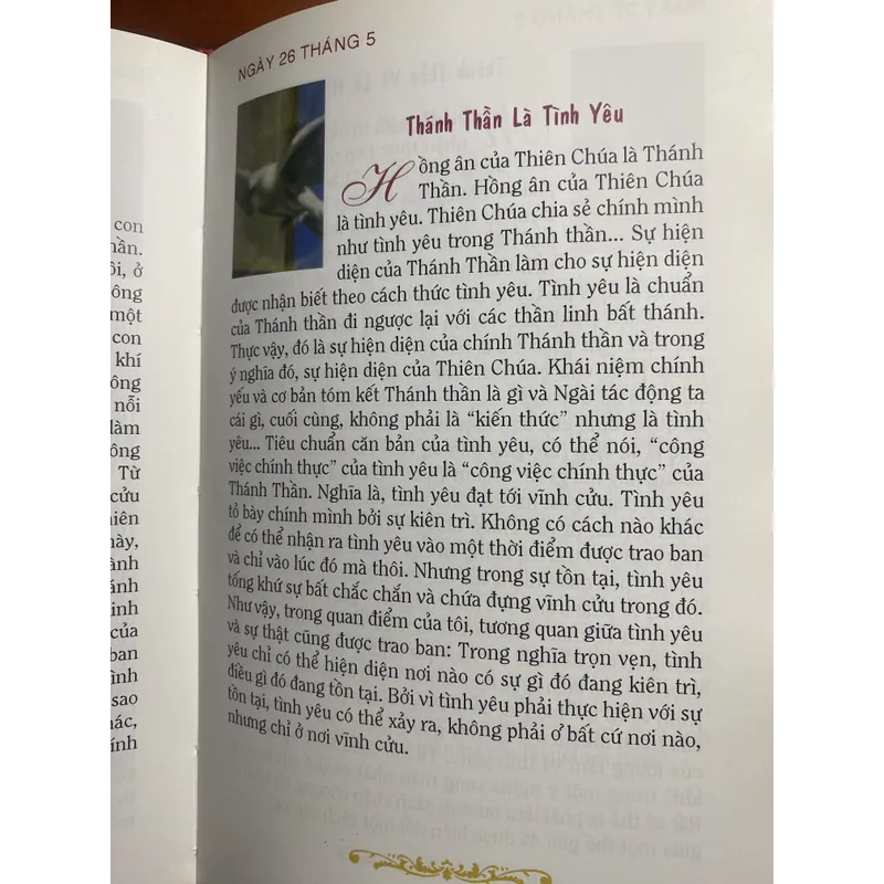 Suy niệm từng ngày với Đức Giáo Hoàng Bênêđíctô - bìa cứng 732997