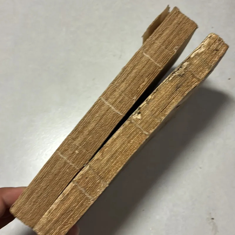 Đọc thêm Tiếng Anh (Tập 1) - 1987s / Chu Xuân Nguyên 995741