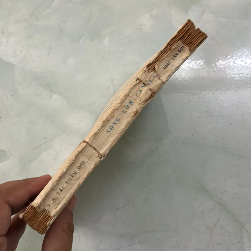 Sóng lớn Canada - Jack London 996959