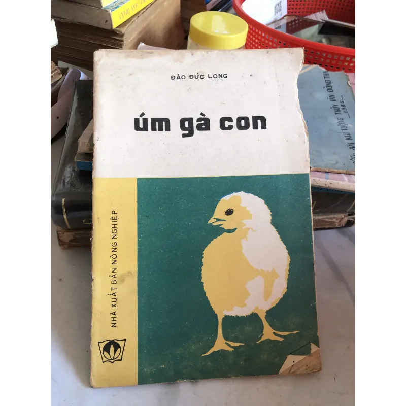 Úm gà con - Đào Đức Long 992598