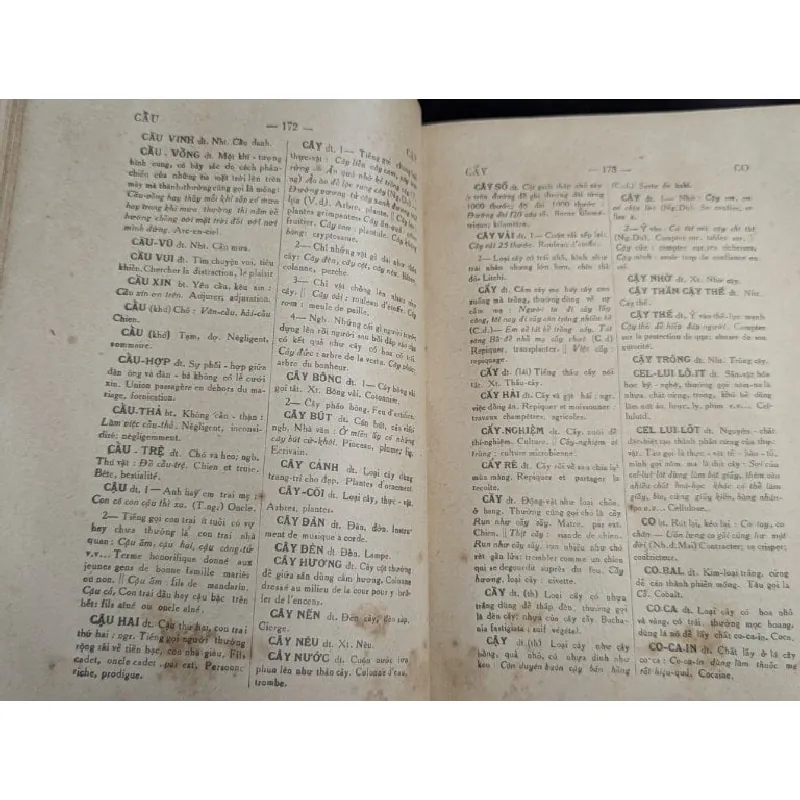 Từ điển việt nam - Thanh Nghị 713730