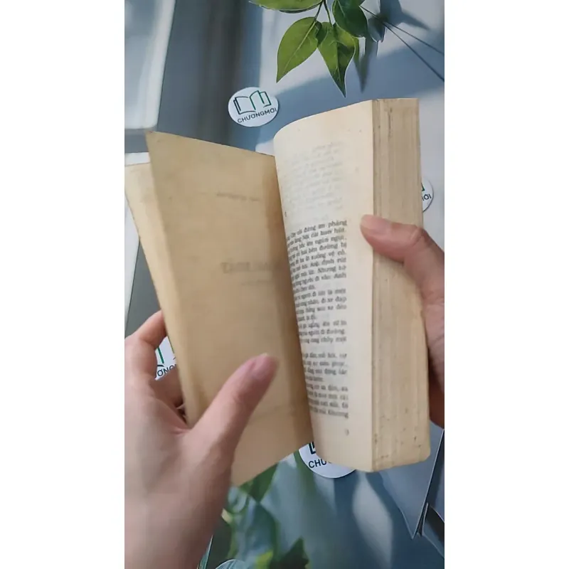 [XƯA] Dòng Xoáy (1989) - Trần Thị Nhật Tân 997586