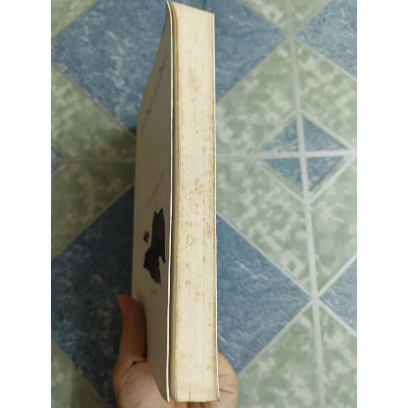 Chị tại con chích chòe - Dương Tường 564404