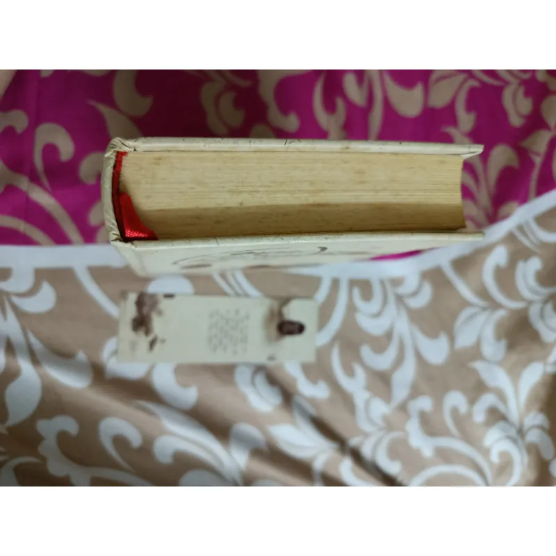 Gặp lại chốn hồng trần sâu nhất - Bạch Lạc Mai ( bìa cứng ) 991216