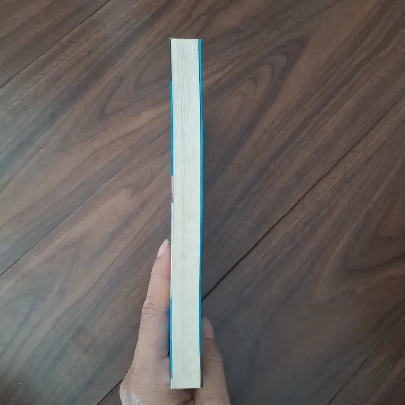 Nếu em không phải một giấc mơ 732743