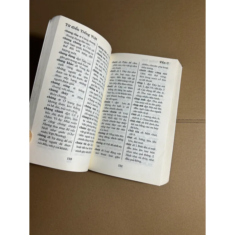 Từ điển tiếng Việt - Huyền Linh 732230