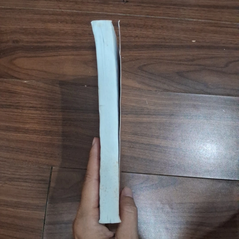 Mối chúa - đãng khấu 511915