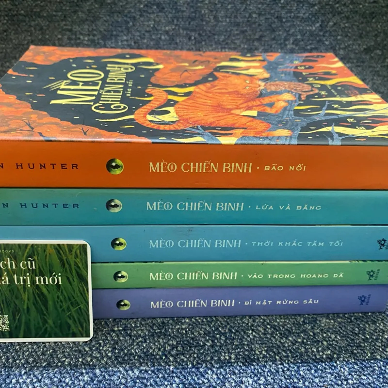 Mèo chiến binh (5c) 733087