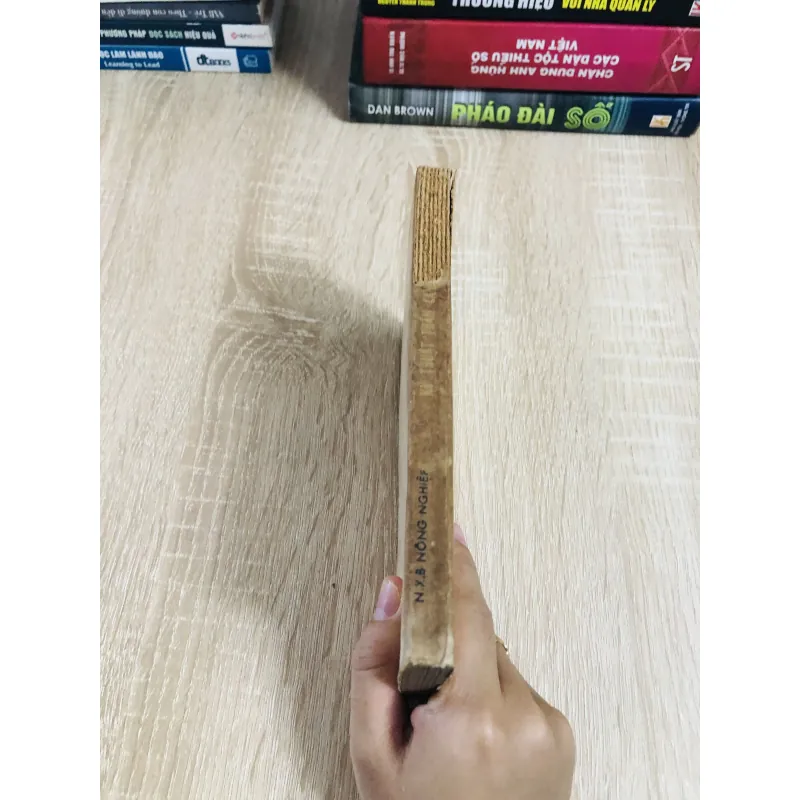 KỸ THUẬT THÂM CANH CÂY KHOAI LANG  1027906