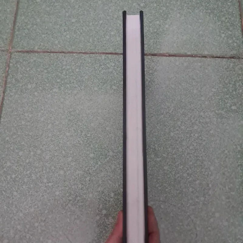 Nếu biết trăm năm là hữu hạn 1003192