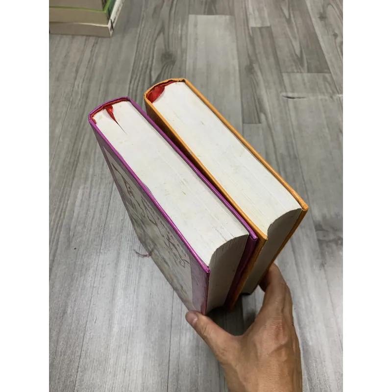 Tây du ký. Bộ 2 tập. Có 204 hình minh hoạ. 2b5 689203