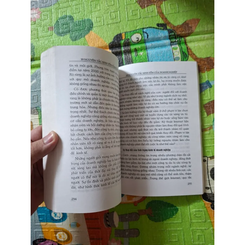10 Nguyên Tắc Sinh Tồn Của Doanh Nghiệp 1044696
