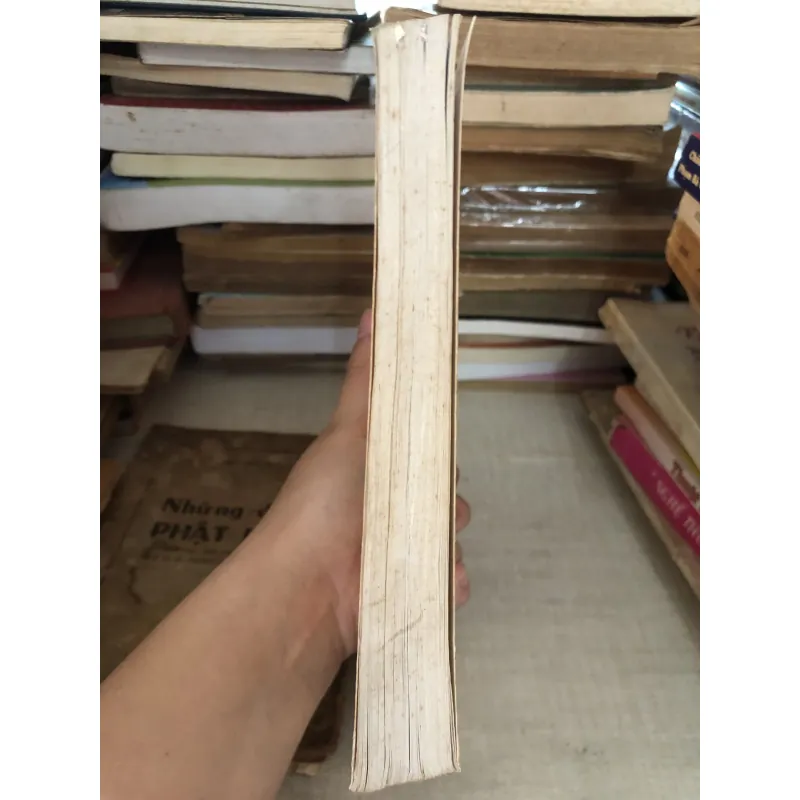 Thi nhân Việt Nam 995095