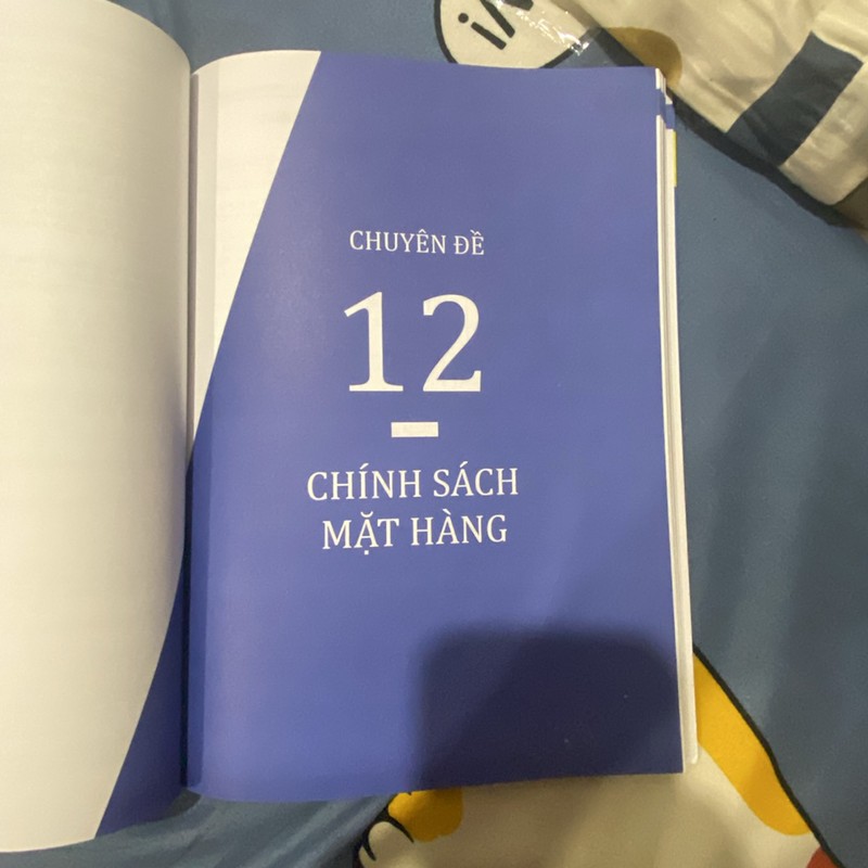 Xuất nhập khẩu thực chiến-Phạm Ngọc Anh- Còn mới 90% 73307