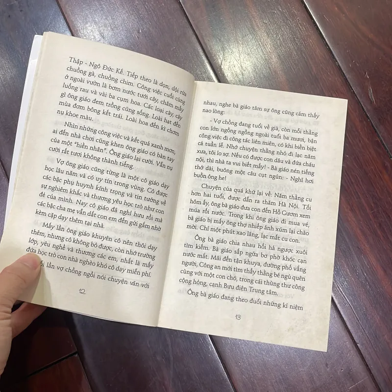 Văn học tuổi hoa - CHÓ HOANG - BÙI TỰ LỰC nxb KD 2017  1026002