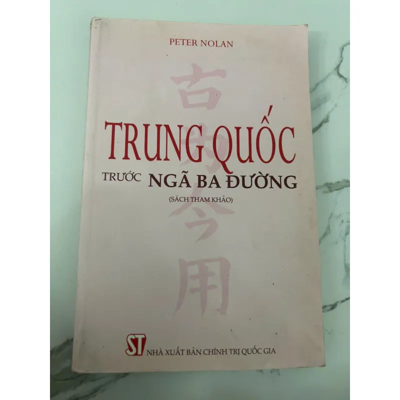 TRUNG QUỐC TRƯỚC NGÃ BA ĐƯỜNG - Peter Nolan - Kinh tế / Chính trị quốc tế 699491