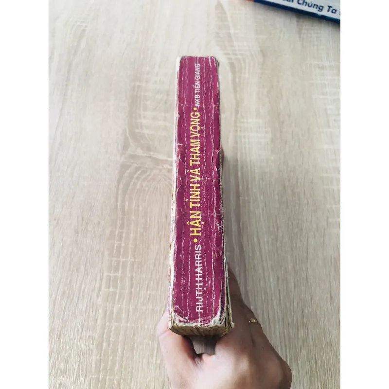 HẬN TÌNH VÀ THAM VỌNG 1006373