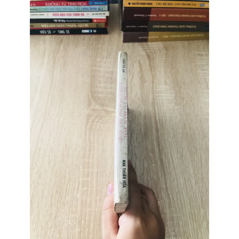 TÌNH TỰ DÂN TỘC THEO CHIỀU DÀI ĐẤT NƯỚC ( Phạm Côn Sơn) 1020463