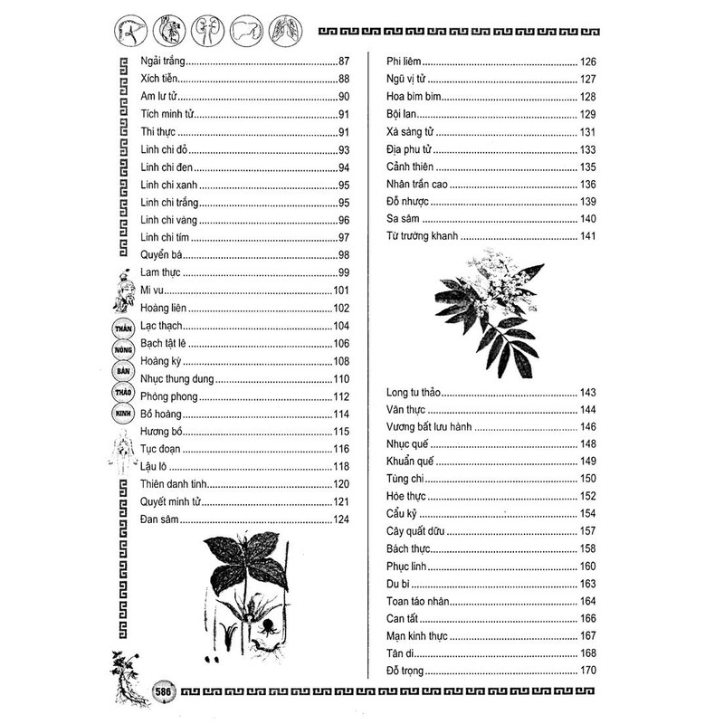 Thần Nông Bản Thảo Kinh – Đào Ẩn Tích

 89629
