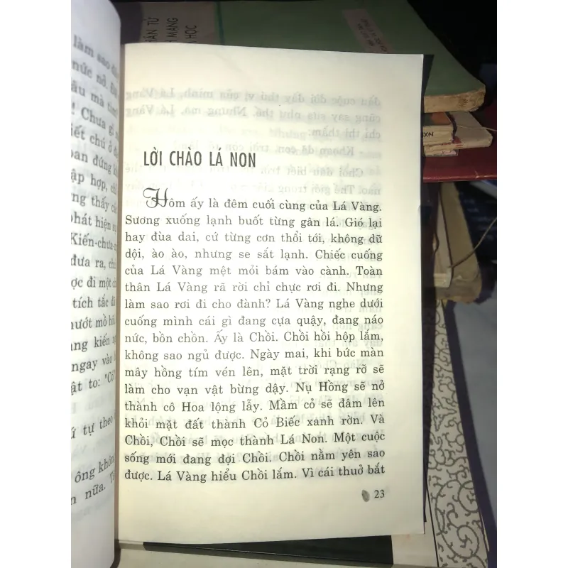 Ngôi nhà trong cỏ - Lý Lan 1019379