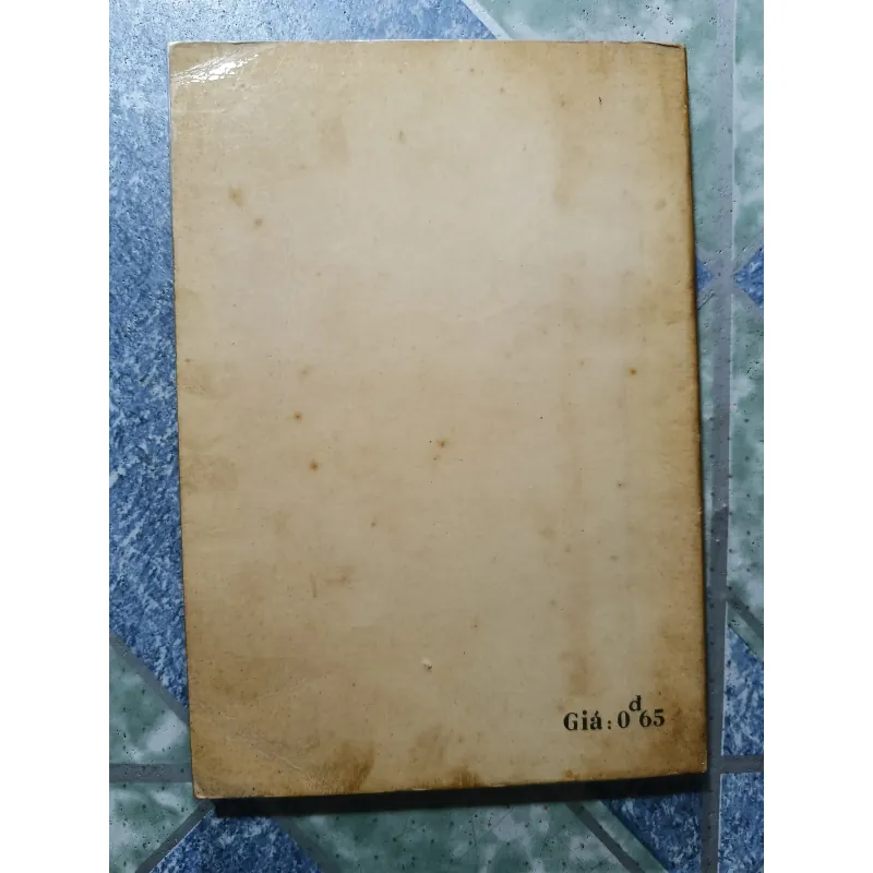 Chiếc lược ngà -  Nguyễn Quang Sáng 1000532