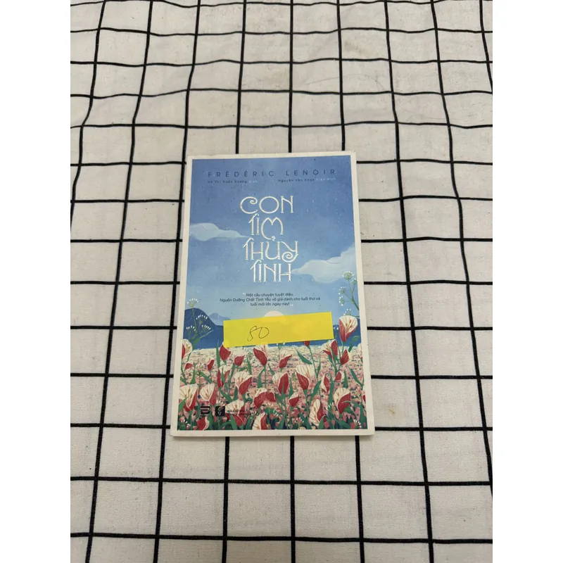 Con tim thủy tinh 598645