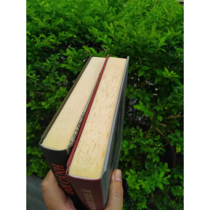 Đôi cánh + Kinh nghiệm tình ái combo 1002602