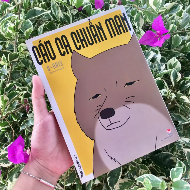 Cáo ca chuẩn man 1 Q-Rais 596234
