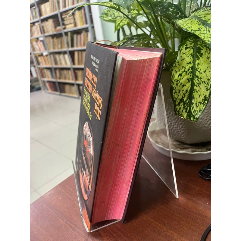 THẨM THỊ HUYỀN KHÔNG HỌC 543541