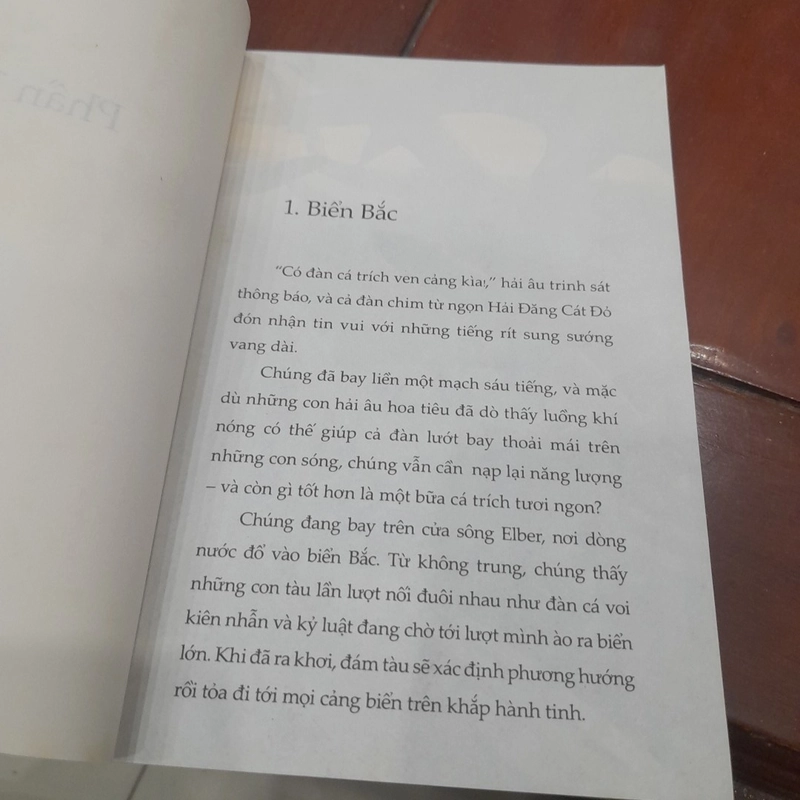 Chuyện Con Mèo dạy Hải Âu bay 479260