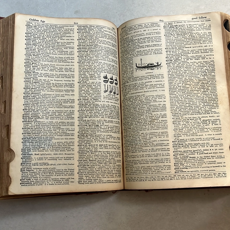 Webster’s New World Dictionary of American Language —  495659