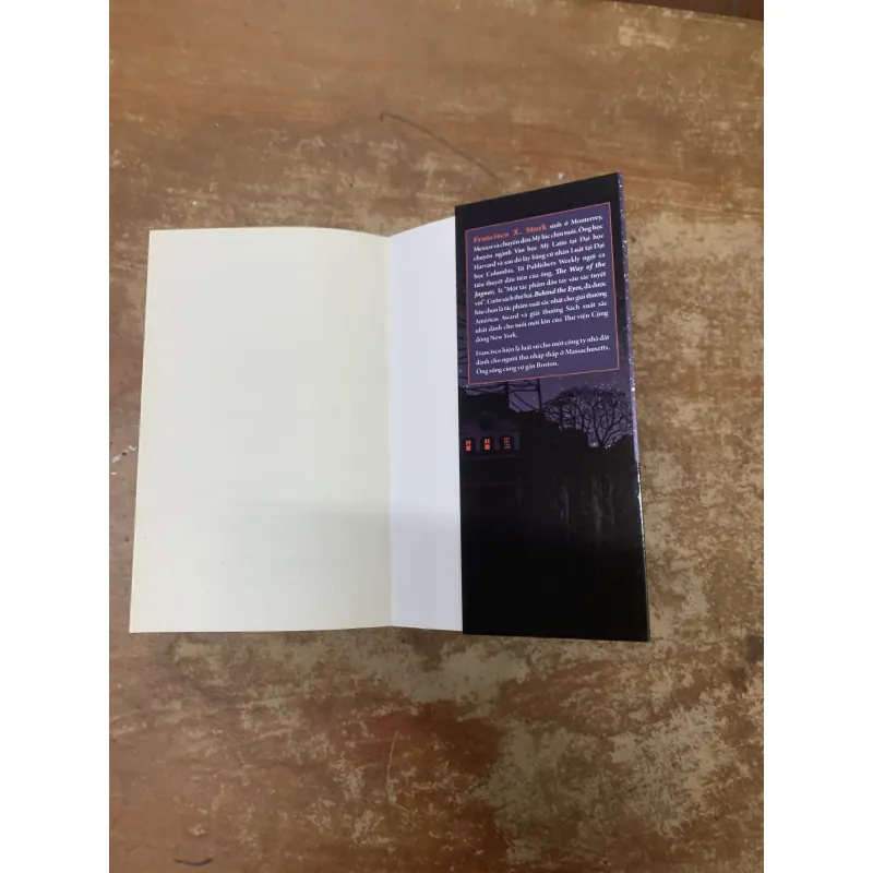 THẾ GIỚI TƯƠI ĐẸP CỦA MARCELO - FRANCISCO X. STORK 745533