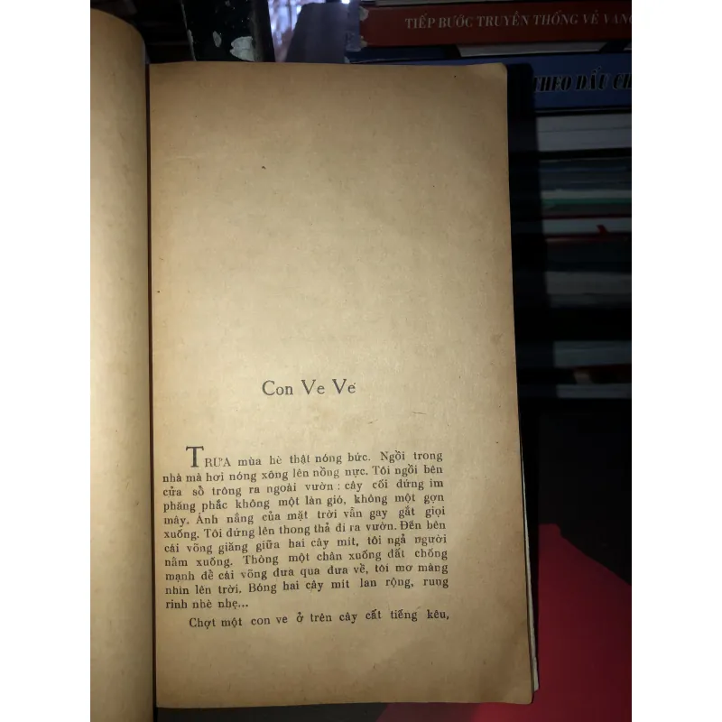 Đêm kinh dị  991237