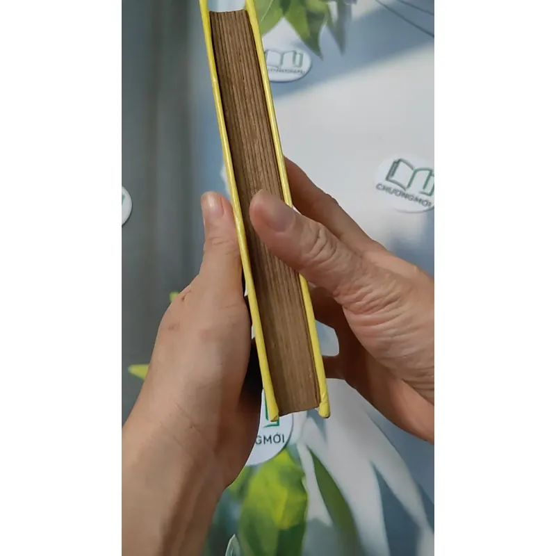 [MIỄN PHÍ BỌC SÁCH] La Petite Fadette - George Sand 749583